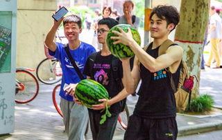 吃瓜野生学生,吃瓜野生学生的校园奇遇记