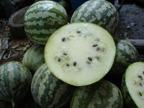 金籁瓜怎么吃,解锁美味新境界