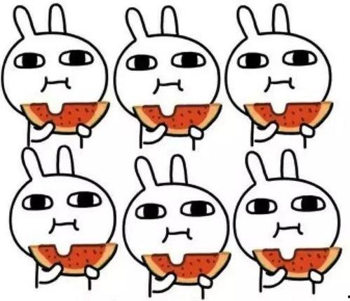 瓜瓜吃瓜画画,一场独特的艺术之旅