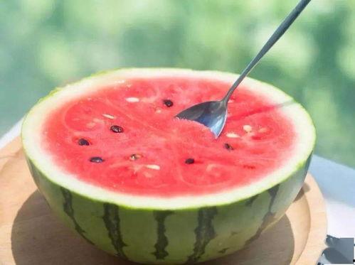 吃瓜群众爱吃西瓜,吃瓜群众西瓜盛宴