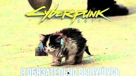 卷毛吃瓜事件,网络舆论的狂欢与反思