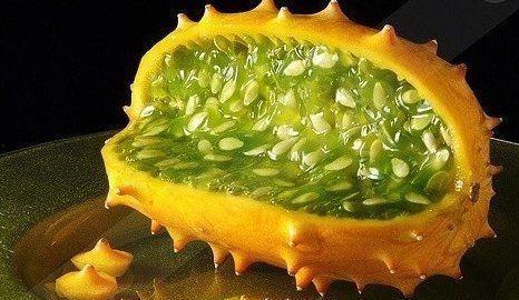 在诡异世界吃瓜,揭秘异域奇谈中的瓜界风云