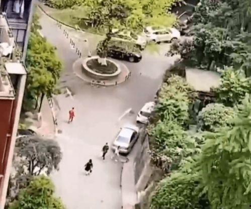 男子阳台吃瓜尴尬,男子尴尬瞬间引热议