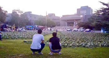 泉州操场吃瓜事件,校园霸凌背后的反思与警示