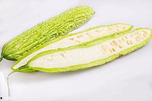 吃苏瓜的季节,丰收美味尽享金秋