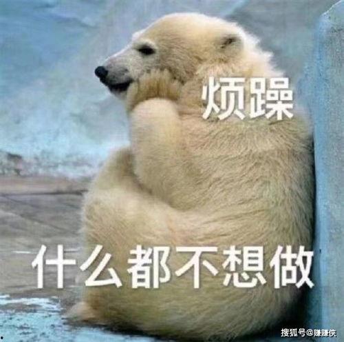 吃瓜群众经典图片,揭秘网络热图的背后故事