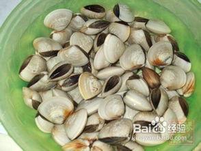 吃沙白瓜声控,解锁夏日清凉新体验