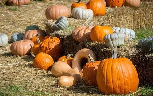 一个吃瓜小号,吃瓜小号带你领略幕后风云