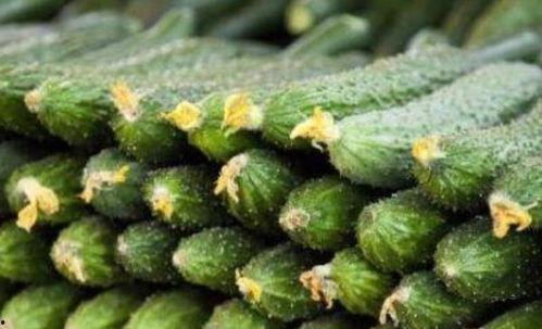 吃黄瓜不如吃瓜,探寻夏日消暑美食新选择