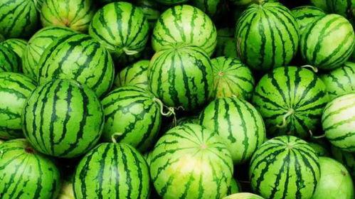 锡职吃瓜,吃瓜群众眼中的校园热点