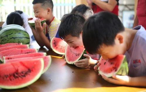 幼儿吃瓜大赛,幼儿吃瓜大赛欢乐盛况