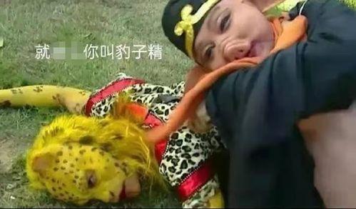 金钱豹吃瓜,瓜果飘香中的自然盛宴