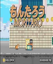 吃瓜网址,带你领略网络世界的趣味与真相