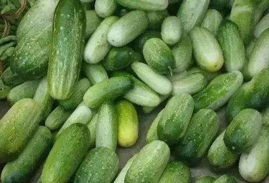 长虫山吃瓜,探寻夏日消暑美食之旅