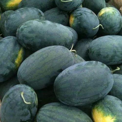 吃瓜与看瓜,吃瓜群众与看瓜者的趣味解读