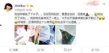 吃瓜中立,吃瓜群众视角下的热点事件深度解析