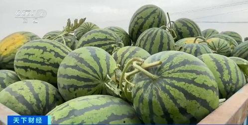 吃瓜早晨,揭秘娱乐圈最新热点事件