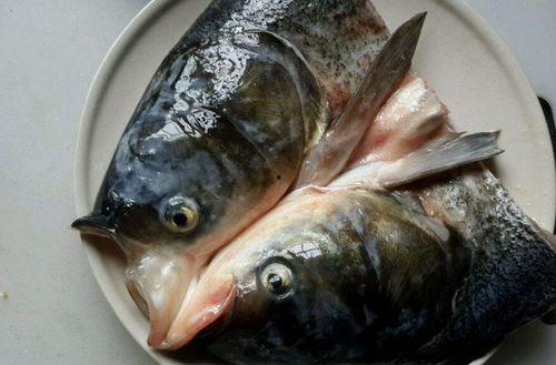 鱼头怪带你吃瓜,揭秘美食背后的秘密