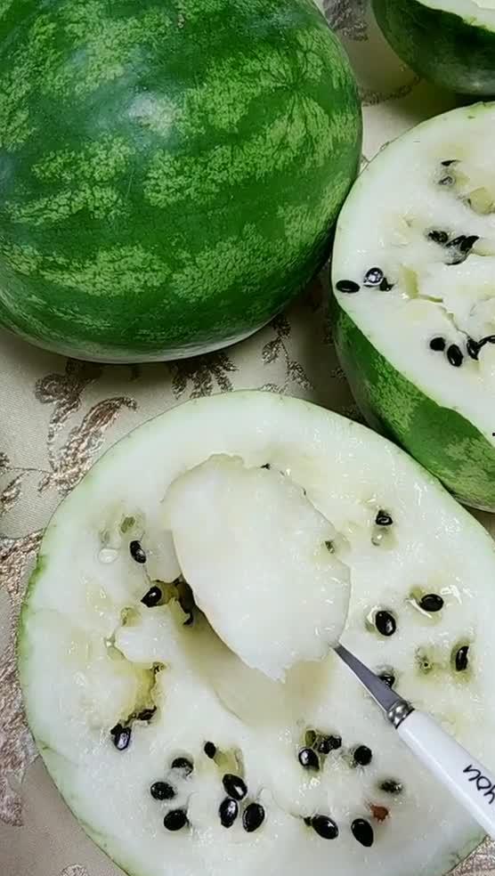 东北吃瓜公众号,揭秘东北美食背后的故事与传说