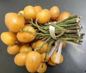 怀孕吃黄皮瓜好吗,孕期食用黄皮瓜的益处与注意事项