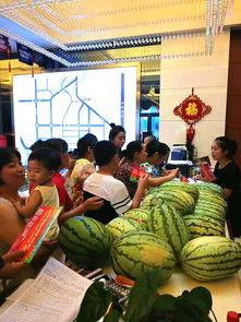 吃瓜群众龙某某