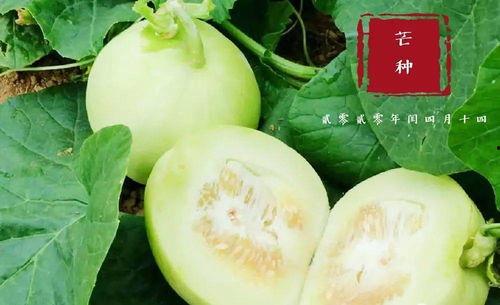 大名翰林府吃瓜,吃瓜群众的欢乐盛宴