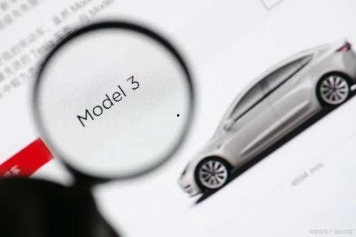 任性特斯拉吃瓜,吃瓜群众眼中的科技巨头