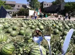 央美 吃瓜群众,吃瓜群众揭秘艺术界热点事件