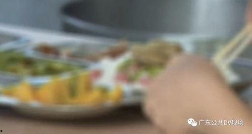 吃瓜中毒最新视频