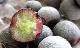 吃葡萄不吐瓜粒子,探寻“吃葡萄不吐瓜粒子”的奥秘