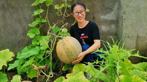 吃瓜生活,揭秘娱乐圈背后的酸甜苦辣