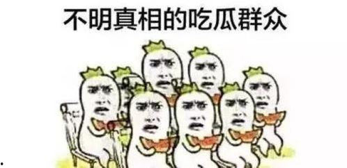 吃瓜群众草莓,揭秘网红水果背后的故事
