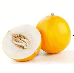 桥中吃瓜,探寻桥中吃瓜的趣味时光