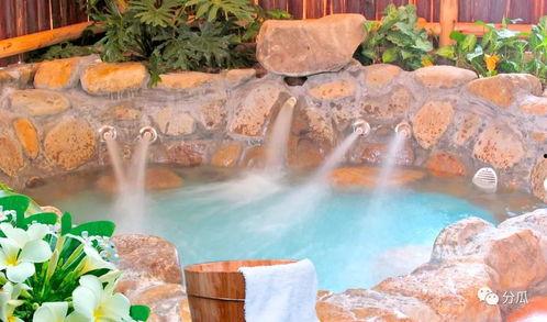 唐庄温泉酒店吃瓜,一场别开生面的吃瓜盛宴