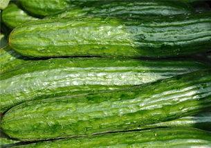 吃瓜健身2,揭秘健身达人的健康饮食与运动秘诀