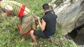 梦见瓜地里摘瓜吃,瓜地摘瓜，品味丰收喜悦