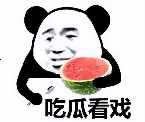 吃瓜老舅,娱乐圈幕后风云的知情者