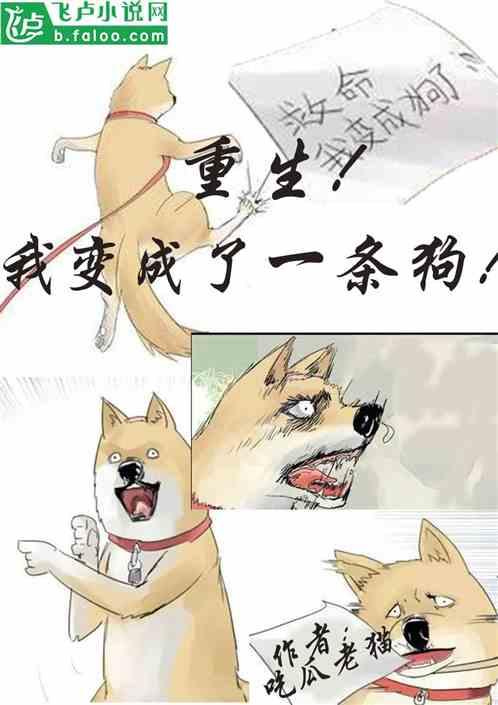 吃瓜老头全部小说,穿越时空的奇幻冒险之旅