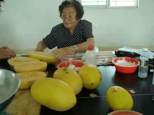 吉农科吃瓜,揭秘农业科技领域的趣味故事