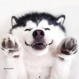 群众微笑吃瓜视频,共享快乐时光