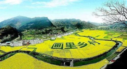 古蔺县吃瓜,瓜果飘香，品味田园生活