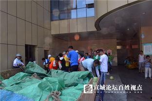 吃瓜群众服务视频,视频背后的趣味与智慧