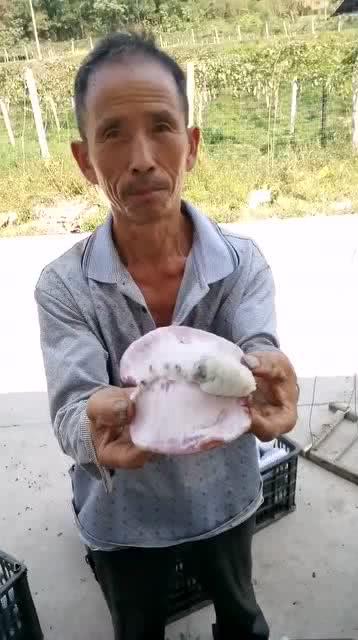 吃瓜大叔66,揭秘娱乐圈那些不为人知的幕后故事