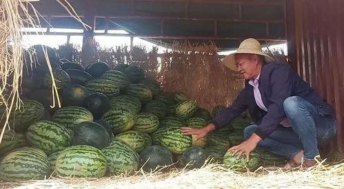 昆明高速吃瓜,一场意外的美食之旅