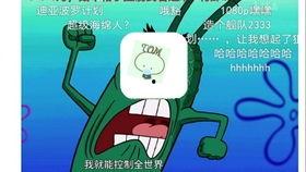 吃瓜的tom,吃瓜群众Tom的趣味观察日记