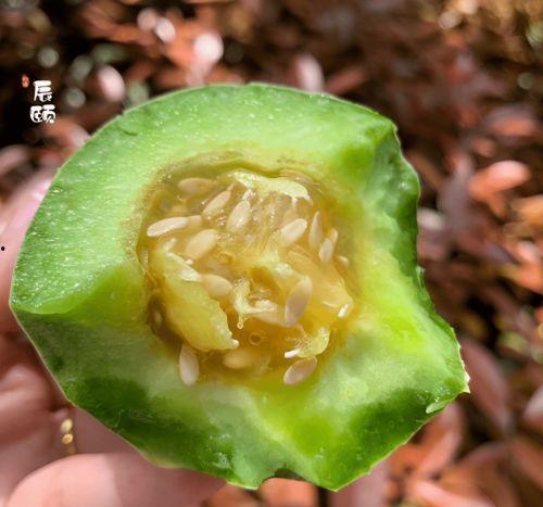 羊角瓜蜜怎么吃,羊角瓜蜜的多样食用指南